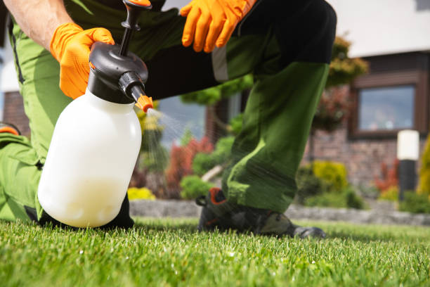 Best Emergency Pest Control  in Loganville, PA